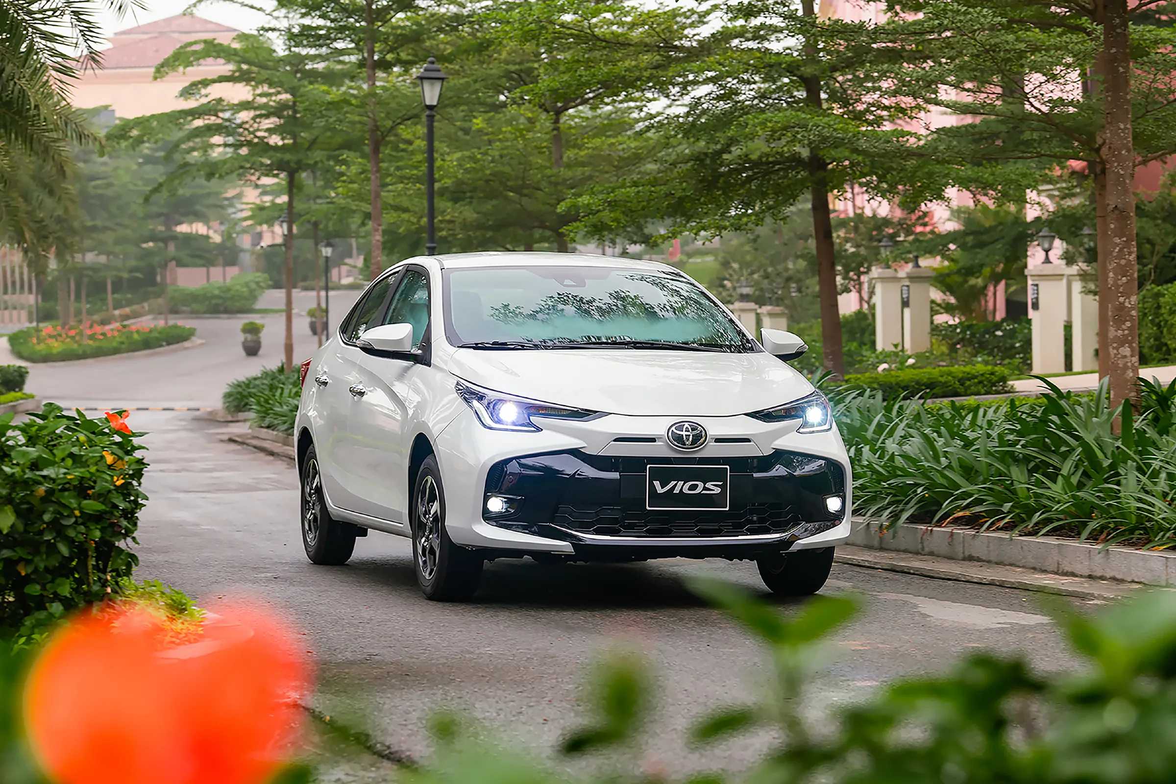 Vios-2023-7